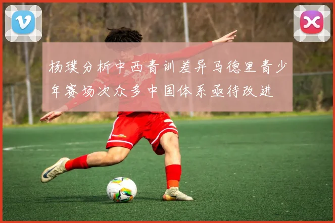 杨璞分析中西青训差异马德里青少年赛场次众多中国体系亟待改进