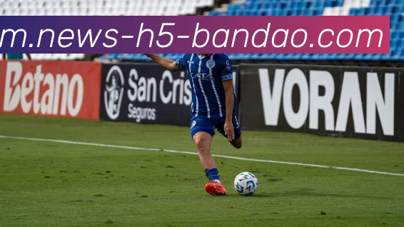 半岛体育平台生态图