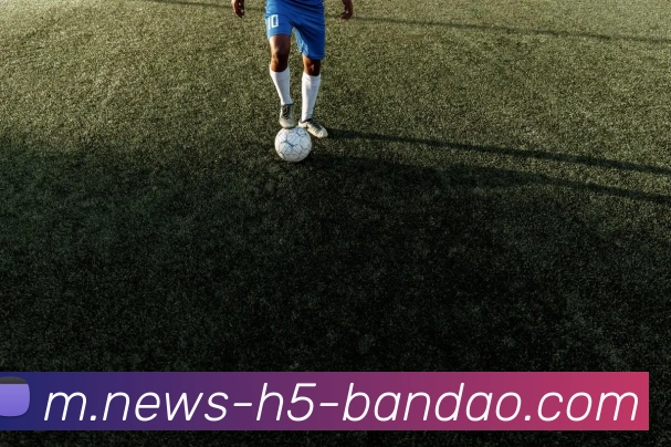 半岛体育APP 封面图